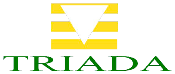 Aulas Virtuales Triada e-learning